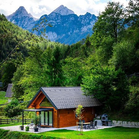Radovna Chalet With Panoramic View Mojstrana Extérieur photo